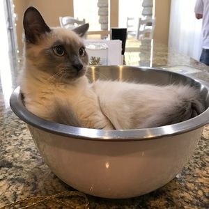 Meet your Posher, Karly